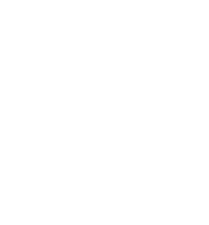 Zain Zain